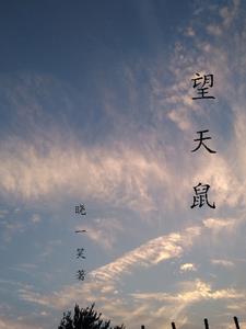 望天树在哪里